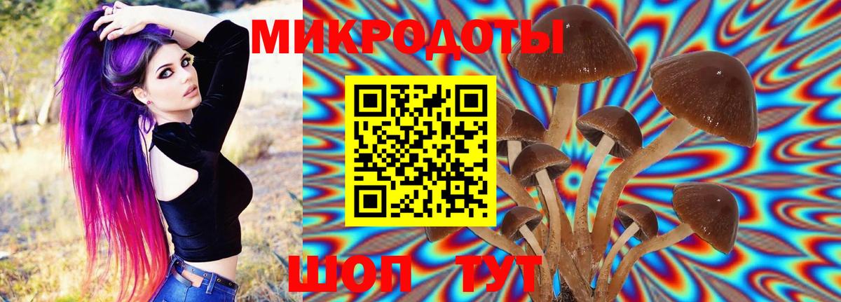 Советск  Псилоцибиновые грибы Cubensis  Вход с VPN 
